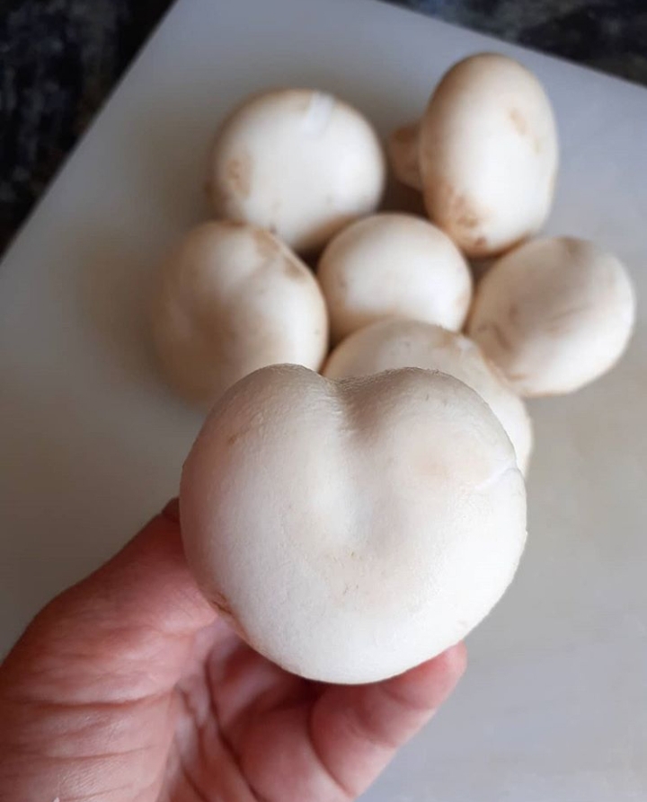https://www.monicachacin.com/wp-content/uploads/2020/07/champiñon-corazón.jpg