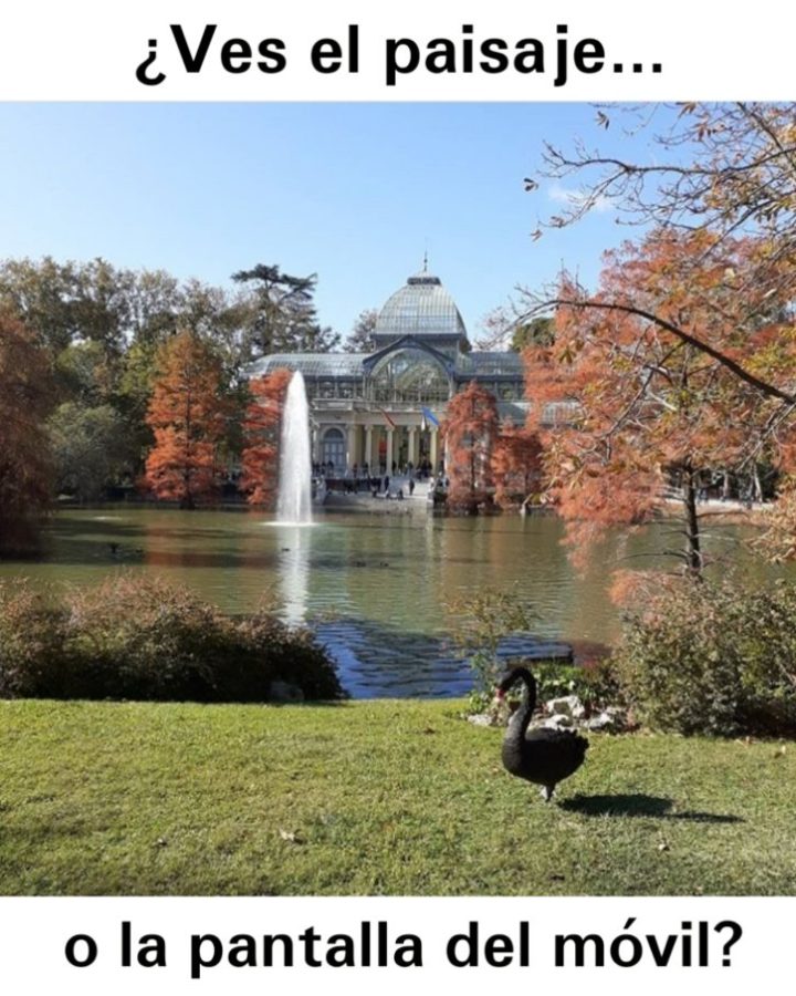 https://www.monicachacin.com/wp-content/uploads/2020/07/paisaje-e1595699977367.jpg