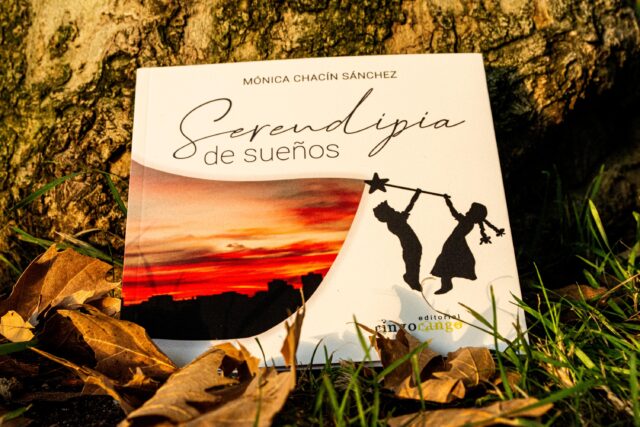 libro serendipia de sueños