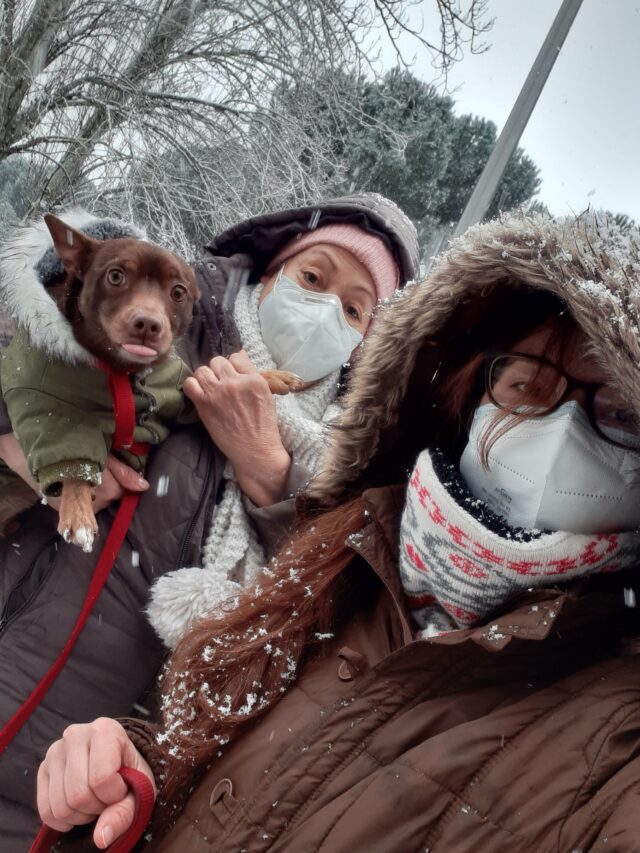 familia en la nieve en madrid con su mascota