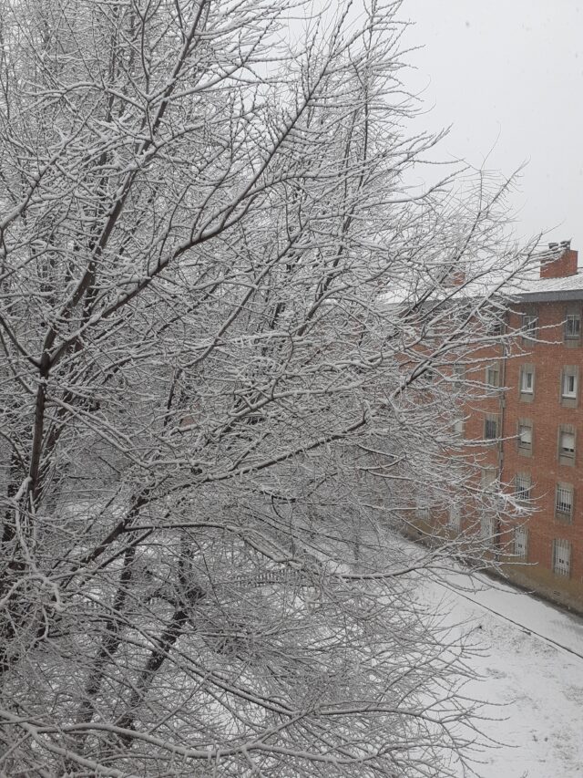 nieva en madrid enero 2021