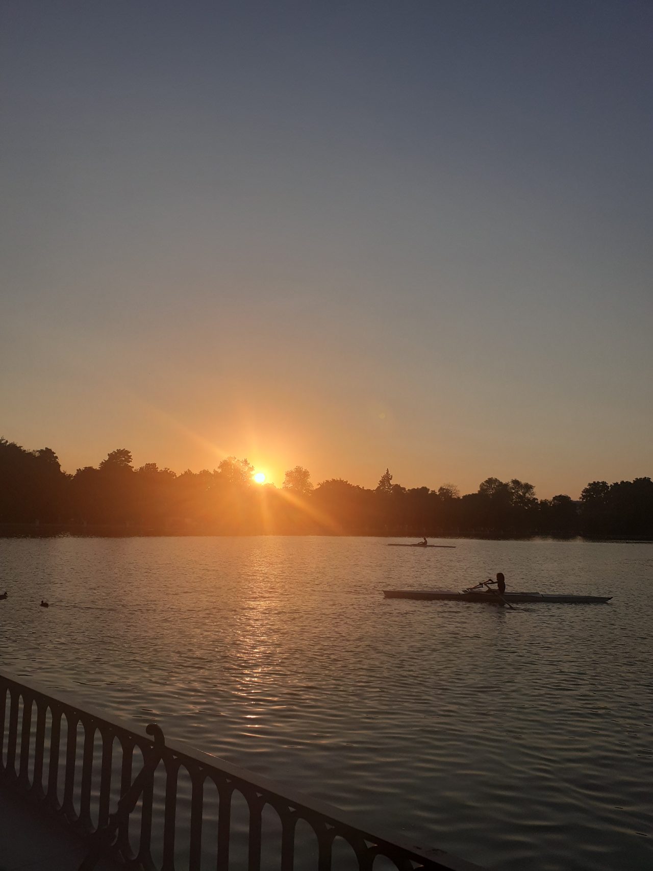 https://www.monicachacin.com/wp-content/uploads/2021/08/parque-del-retiro-madrid-estanque-barcas-remar-emprendedores-1280x1707.jpg