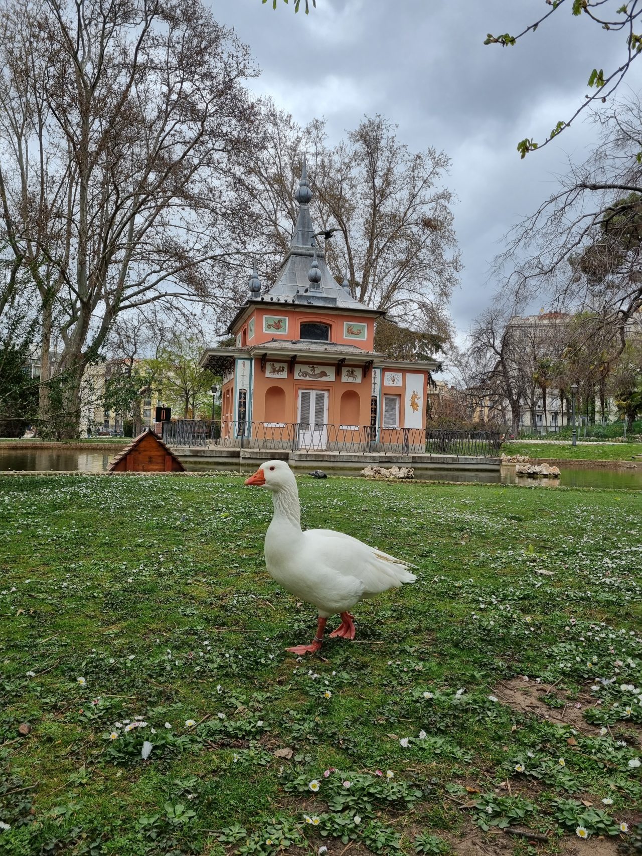 https://www.monicachacin.com/wp-content/uploads/2022/03/ganso-casita-del-pescador-parque-del-retiro-madrid-monica-chacin-copywriter-2-1280x1707.jpg